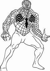 Spiderman Coloring Pages Venom Spider Man Sheets Boys Printable Dragoart Imgs Steps sketch template
