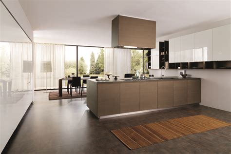 minimalist  modern kitchen designs