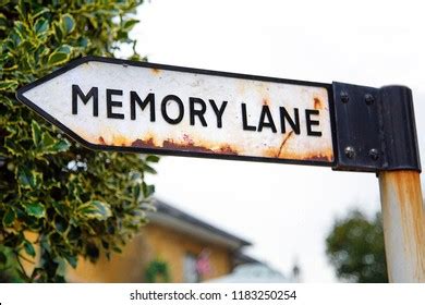 memory lane images stock   objects vectors