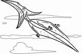 Pteranodon Pterodactyl Pteranodonte Colorear Dinosauri Pterodactylus Raiva Dinosaur Volador Desenho Stampare Tudodesenhos sketch template