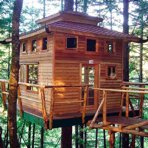 build  tree house pro tips plans  family handyman