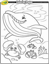 Coloring Pages Whale Crayola Summer Kids Color Printable Christmas Sheets Sea Under Template Print Getcolorings 색칠 Book 도안 Alive Shark sketch template