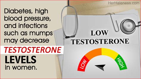 symptoms of low testosterone in women her haleness