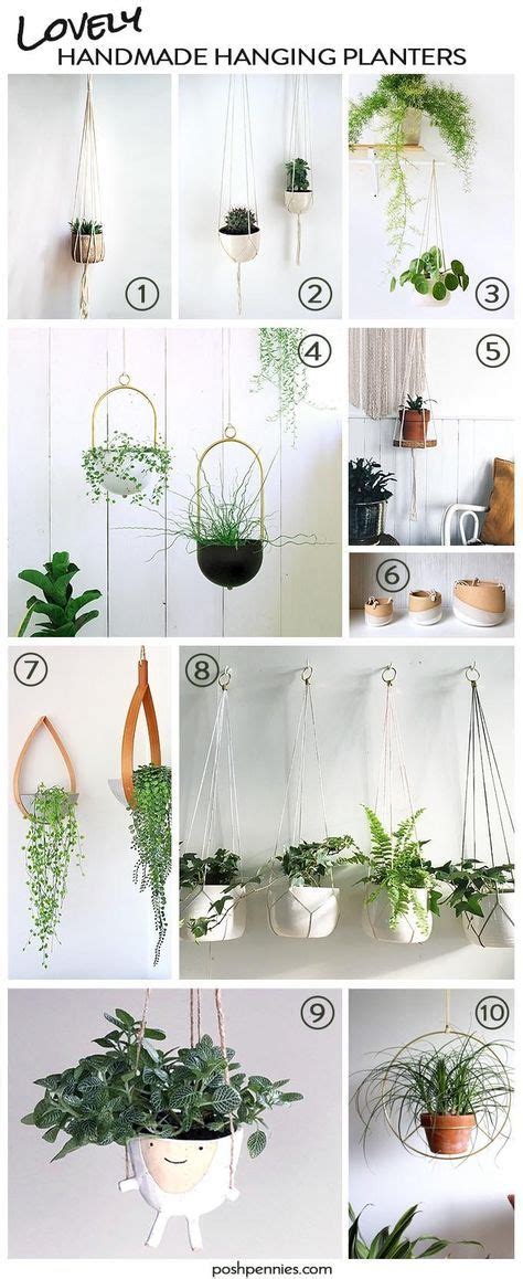 The Best 9 Indoor Hanging Plants Even A Beginner Wont Kill Posh
