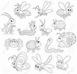 Insectes Insecte Insecten Outline Choisir Tableau Bugs Insekten 123rf Stamps sketch template