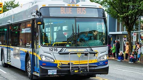 blue bus service   news