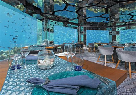 top luxury dining spots   maldives honeymoon alpha maldives blog