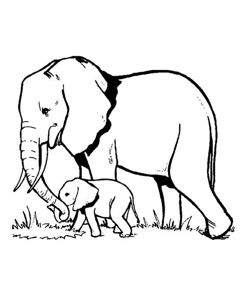 incredible elephants coloring page  print  color   elephant