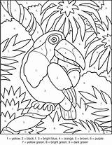 Toucan Numbers Numeros Worksheets Crayola Colorir Coloringhome Desenhos Mosaicos Zahlen Malen Animales Lifelike Naaman Animal Adultos Pesquisa Fichas Mandalas Mosaico sketch template