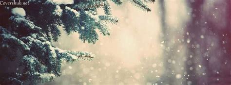 winter snow facebook cover photo  hd    covershubnet winter snow cover