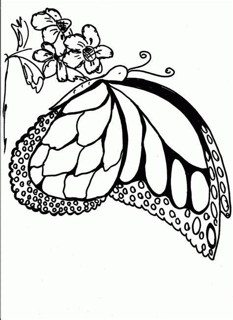 coloring pages breast cancer coloring home
