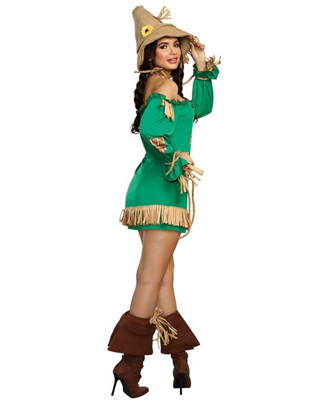 storybook silly scarecrow costume dreamgirl 11156 ebay