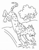 Cheetah Jump Coloring Tree Netart sketch template