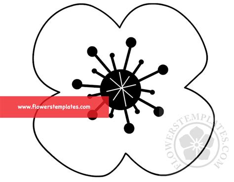 easy poppy flower coloring page flowers templates
