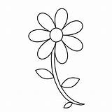 Buttercup Coloring Flower Pages Getdrawings sketch template