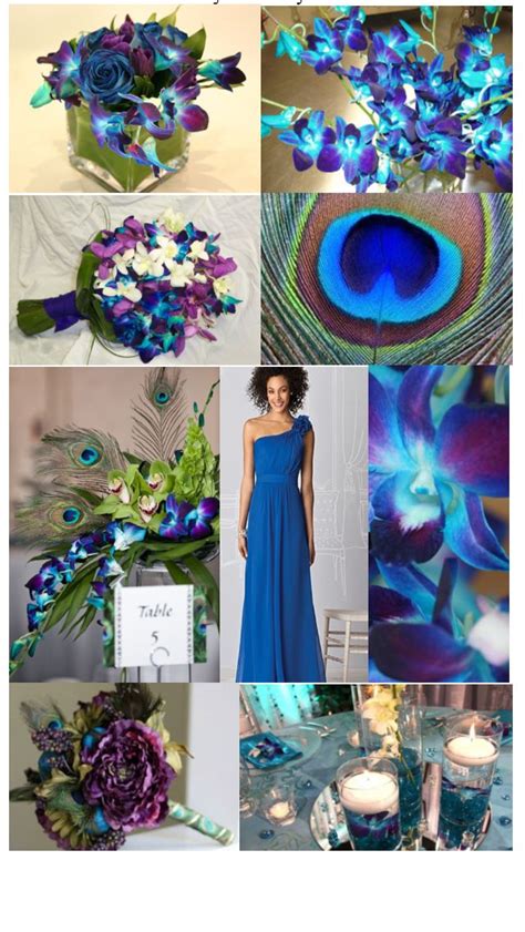 Pin By Emily Woods On Colour Mood Boards Peacock Images Mood Colors