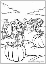 Paw Patrol Coloring Pages Thanksgiving Dogs Pumpkins Kids Printable Children Print Simple sketch template