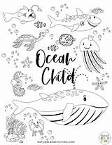 Ocean Printables Preschool Naturalbeachliving sketch template