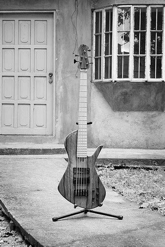 elegee single cut custom  string bass   asked  jon flickr
