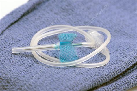 iv catheter stock image  science photo library