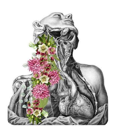 anatomical art floral anatomy prints human anatomy art etsy singapore
