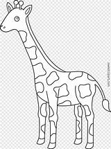 Giraffe Girafe Clipart Jerapah Mewarnai Colorable Printable Coloriages Svg Colorier Giraff Giraffes Tk Terupdate Colouring Sweetclipart Cricut Paud sketch template