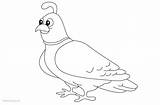 Quail Coloring Pages Line Drawing Printable Kids sketch template