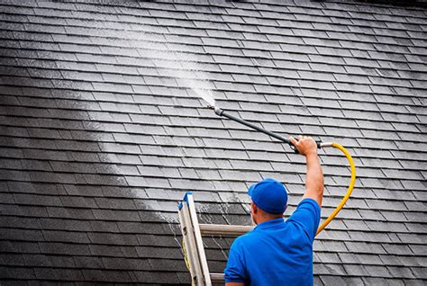 clean asphalt roofs tips   quick process clean clear mn