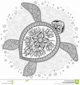 Mandala Tortue Coloriage Dessin Henna Aplemontbasket Colorier Tartaruga sketch template
