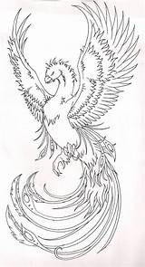 Phoenix Tattoo Coloring Bird Phönix Tattoos Pages Deviantart Drawing Colouring Stencil Erwachsene Für Vorlagen Zeichnung Japanese Der Color Malbücher Drawings sketch template