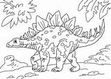 Stegosaurus Dinosaur Coloring Large sketch template