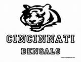 Bengals Coloring Cincinnati Football Sports Colormegood sketch template
