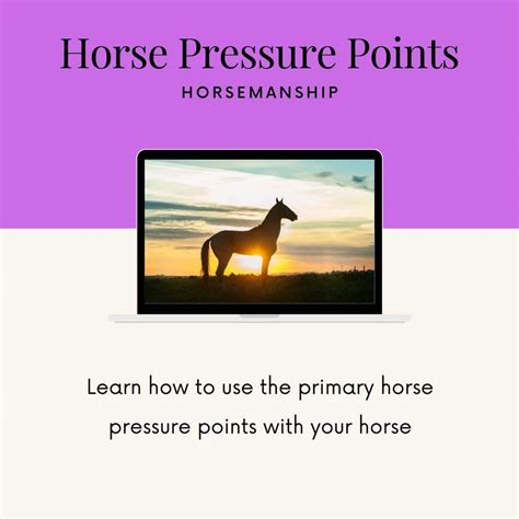 pressure points horse liberty training