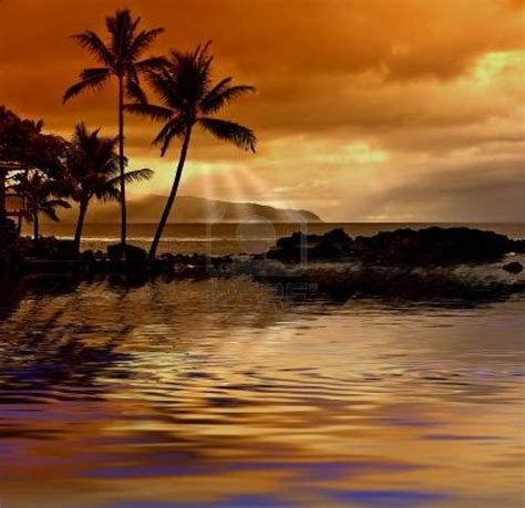hawaiian tropical sunset flickr photo sharing
