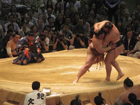 liz s livelihood sumo wrestling in japan