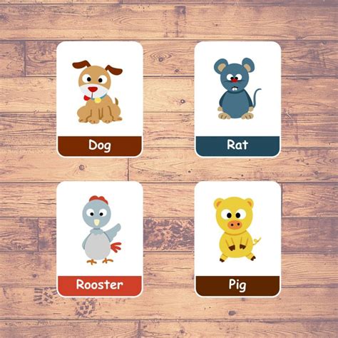 chinese zodiac signs flashcards montessori educational learning