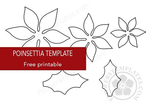 poinsettia template  flowers templates