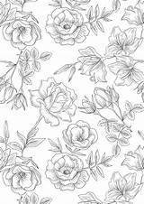 Floral Pages Colouring Sheets Printable Coloring Flower Adult Pattern Drawing Flowers Printables Color Illustrations Gatheringbeauty Vintage Beautiful Colour Visit sketch template