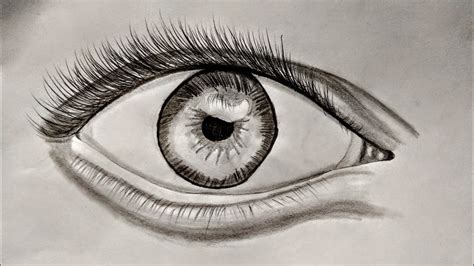 como desenhar um olho em rabisco 🏼👁️ youtube