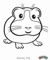 Guinea Pig Coloring Pages Cute Print Clipart Printable Color Kids Getcolorings Ginnie Adult Library Popular Template Books Book sketch template