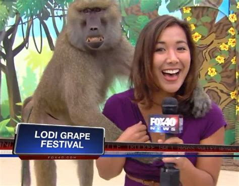 Baboon Gropes Shocked Tv Reporter S Breast During Live Shot Before