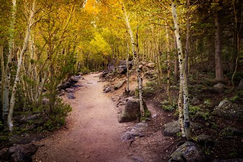 dazzling hikes drives  rocky mountain national park  fall colors