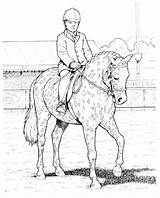 Cavalli Coloriage Colorare Chevaux Cheval Konji Disegno Caballo Jockey Bojanke Crtež Ausmalbilder Bojanje Pferde Konja Adult Caballos Osam Crtezi Malvorlagen sketch template
