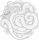 Adults Getdrawings Ammonite Dxf Eps sketch template