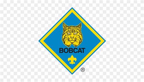 bobcat rank    boys  join cub scouting  bobcat rank