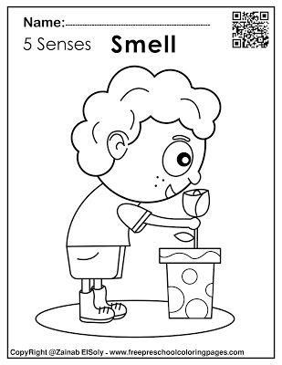 set   senses activities  kids preschool coloring pages senses