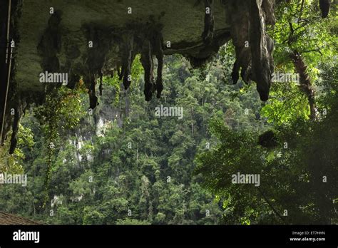 blick aus hoehle niah hoehlen  den regenwald malaysia borneo niah
