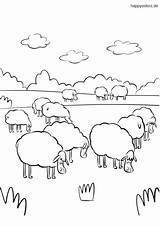 Sheep Coloring Schaf Flock Schafherde Malvorlage Ausmalbild Schafe Beim Wiese Sheeps Colomio Frühstück Kostenlos Oster Ausmalbildern Gehts sketch template