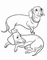 Coloring Dachshund Pages Dog Printable Weiner Sheets Colouring Sausage Adult Puppy Dogs Coloringcafe Drawing Color Dachshunds Doxie Long Applique Print sketch template