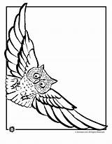 Owl Flying Coloring Pages Outline Drawing Clipart Line Cliparts Clip Owls Animal Draw Templates Gif Library Jr Board Kids Printable sketch template